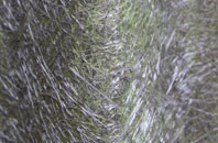 Alton fibreglass roof work